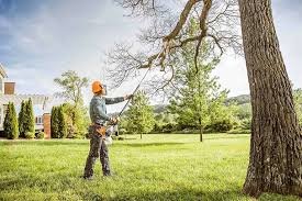 Best Leaf Removal  in Montauk, NY