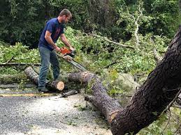 Best Utility Line Clearance  in Montauk, NY