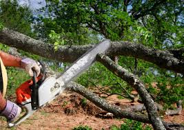 Mulching Services in Montauk, NY