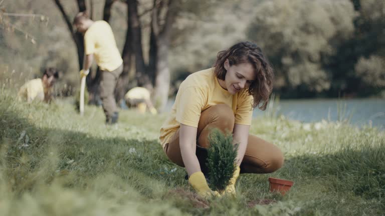 Best Lawn Maintenance Plans  in Montauk, NY